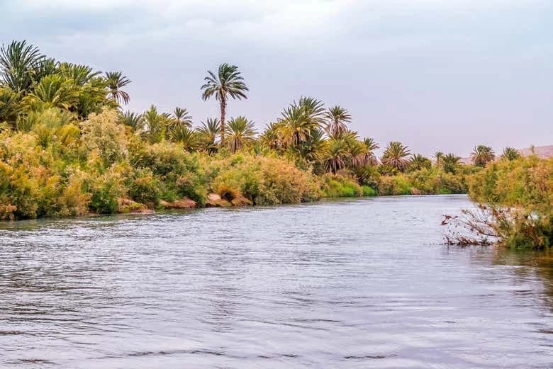 2 Day Private Desert Tour - Image 3