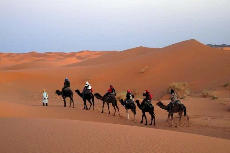 Visite des cités impériales et du désert de Merzouga : 6 jours - Image 6