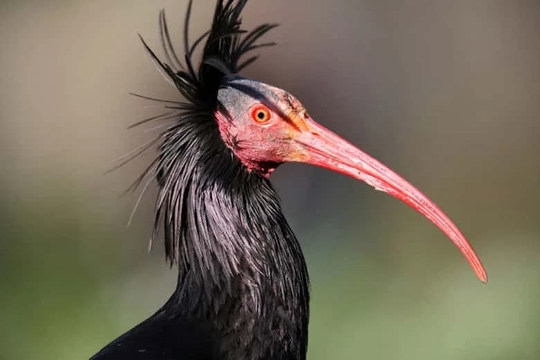 Timlaline Dunes Day Trip + Quad or Sandboarding - Image 3
