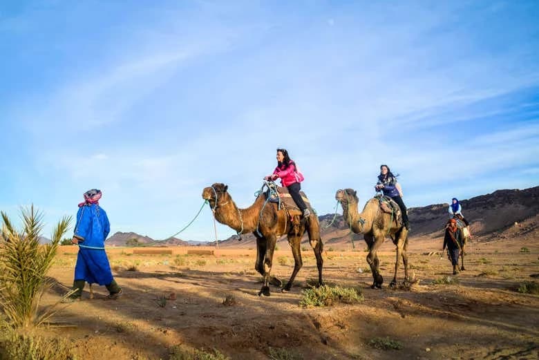 Private Zagora Desert Trip - Image 10