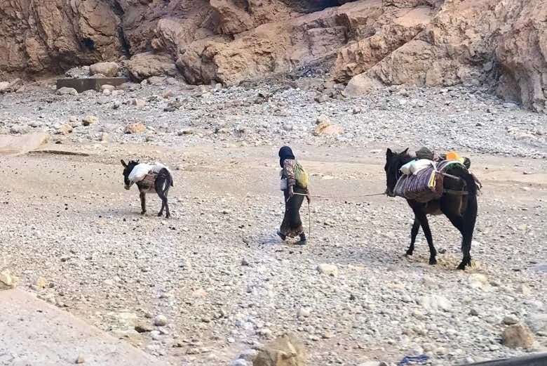 Private Excursions from Ouarzazate - Image 6