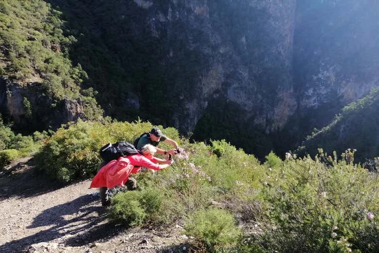 Private Hike to Akchour's Bridge of God - Image 8