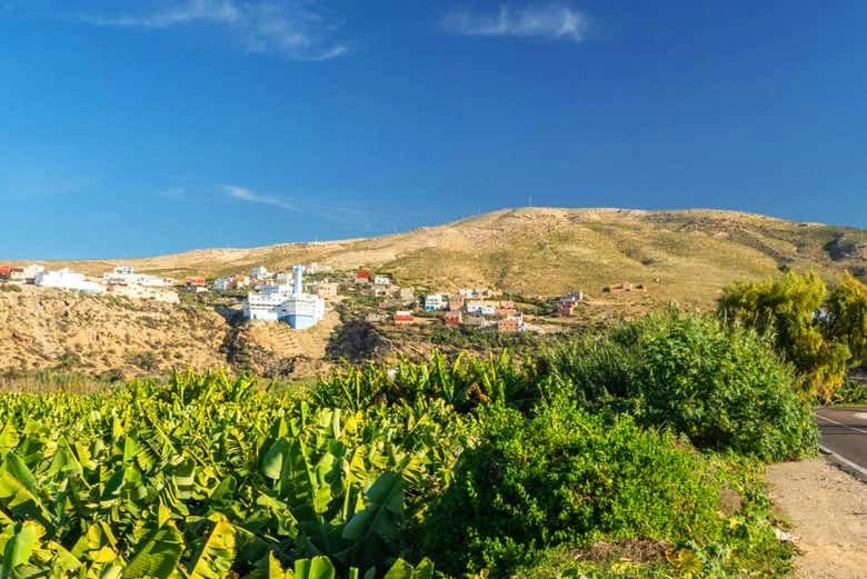 Timlaline Dunes Day Trip + Quad or Sandboarding - Image 8