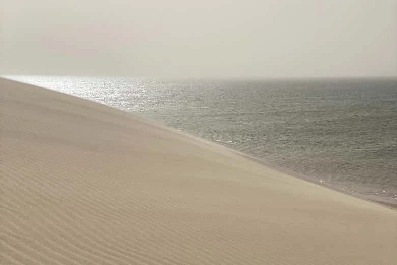 Dajli White Dune 4x4 Private Tour - Image 4