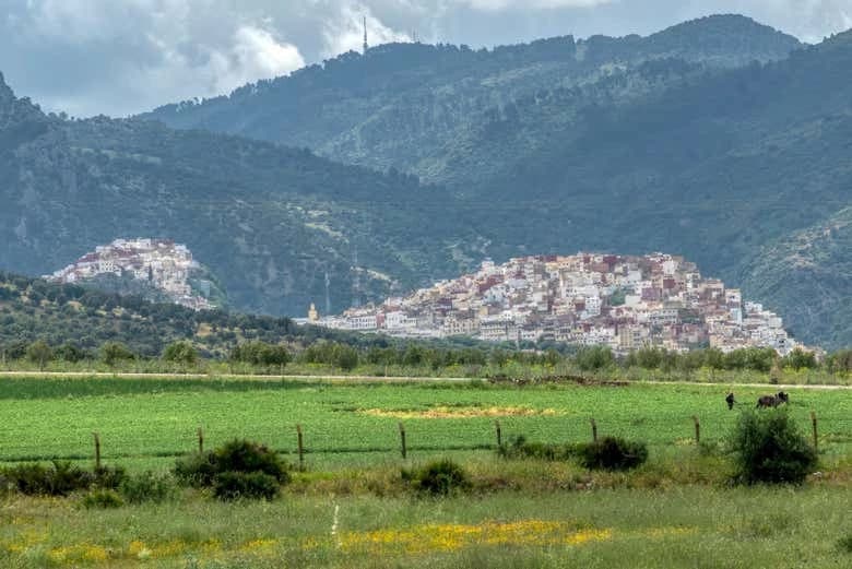 Volubilis, Moulay Idriss & Meknes Private Day Trip - Image 6