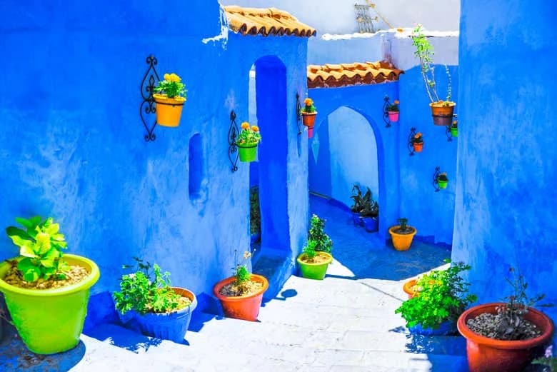 Private Excursion to Tétouan + Chefchaouen - Image 6