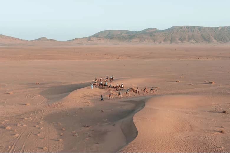 Camel Ride and Night in the Desert - Image 4