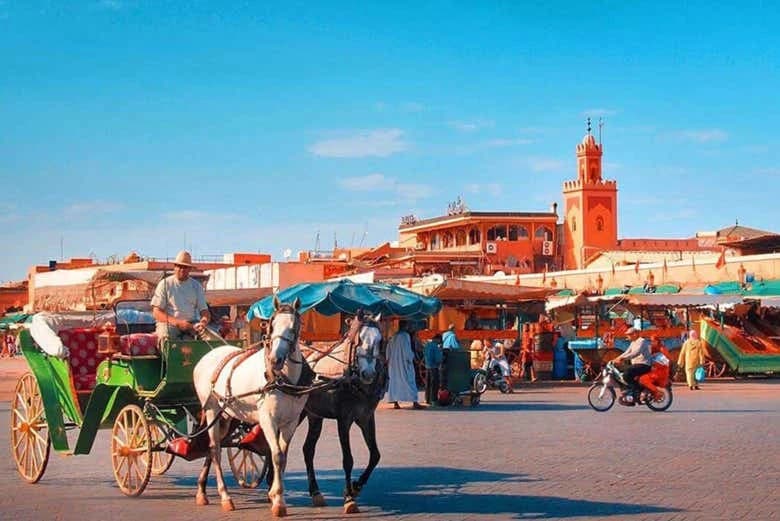 Marrakech Day Trip - Image 4