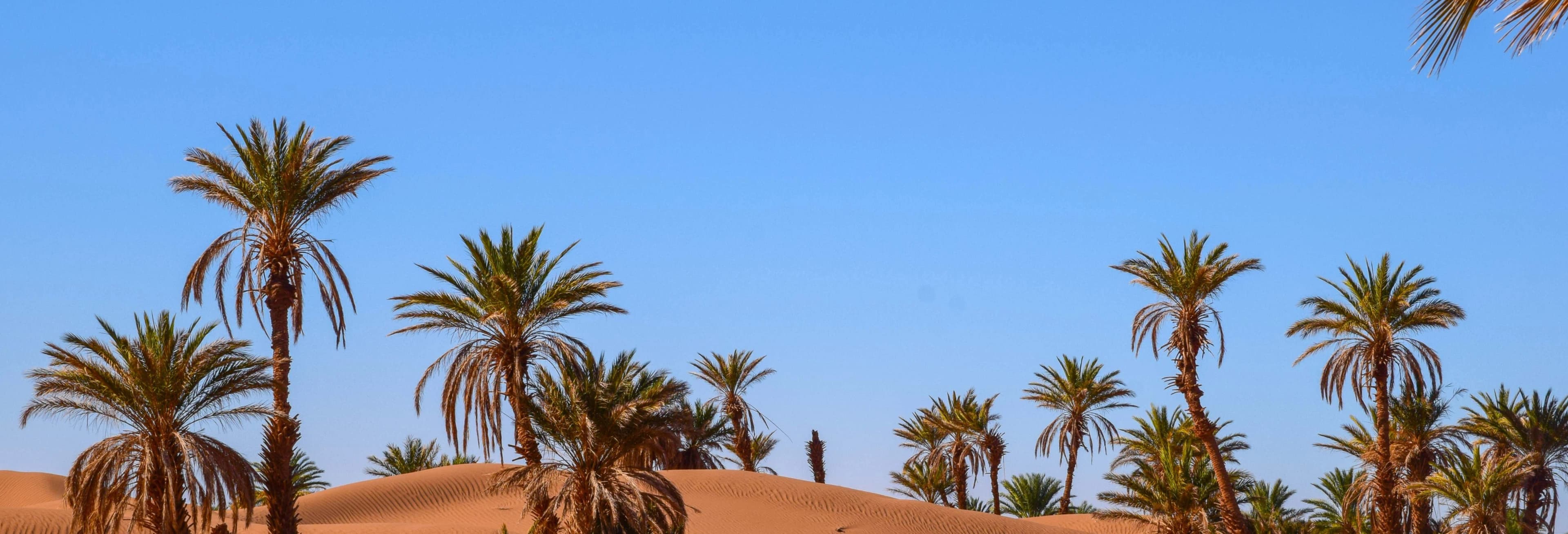 2-Day Zagora Desert Trip