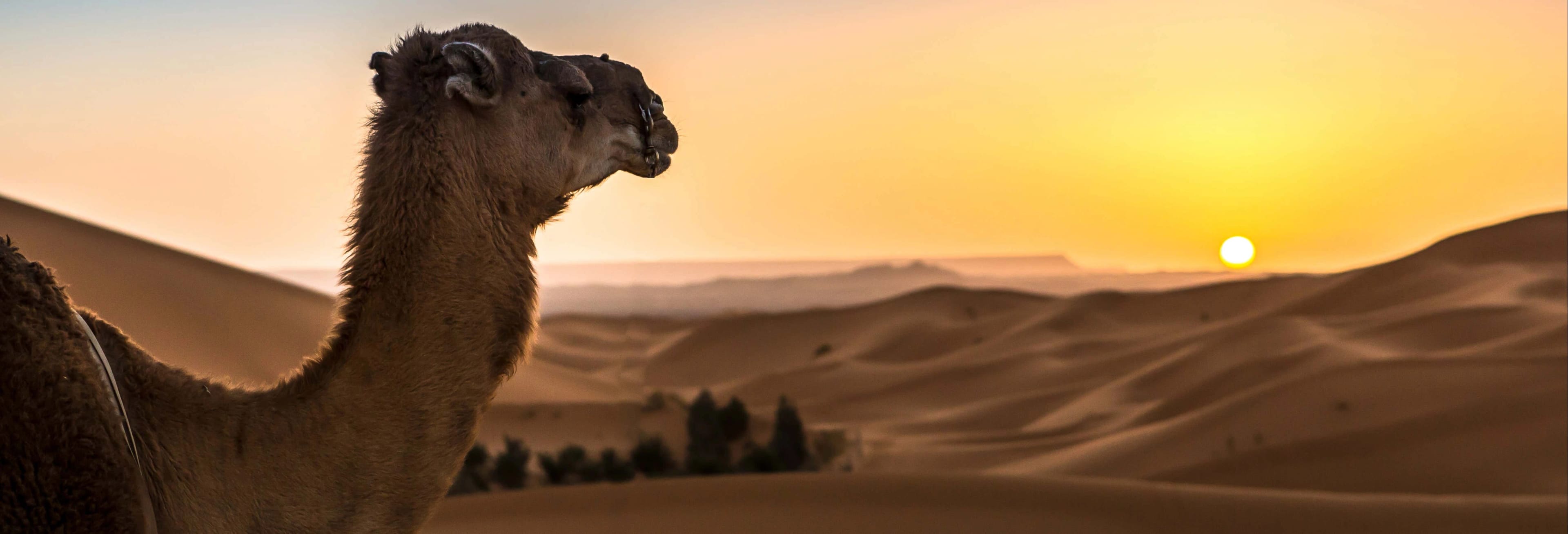 Amanecer o puesta de sol en el desierto en Merzouga