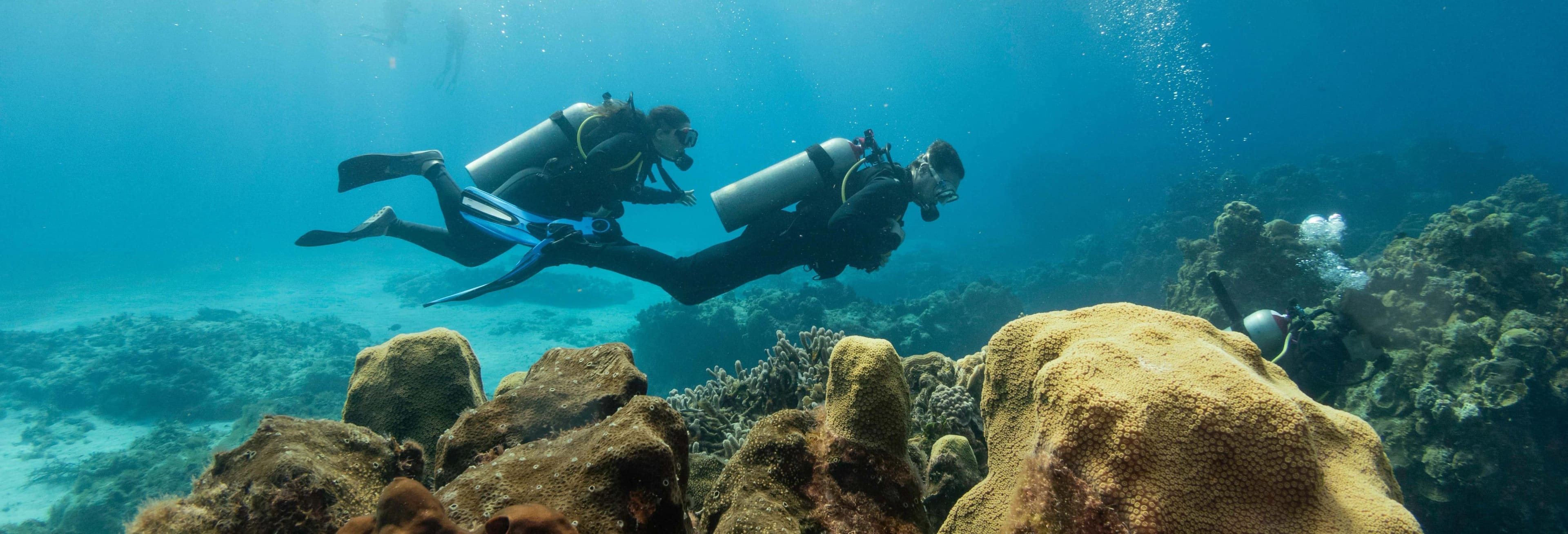 Buceo para principiantes en Dakhla