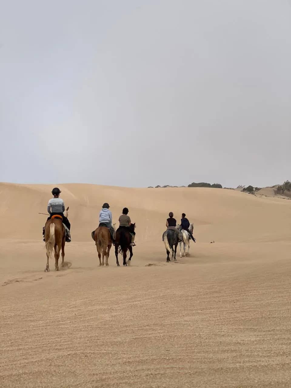 1h Daytime Horseback Ride in Essaouira