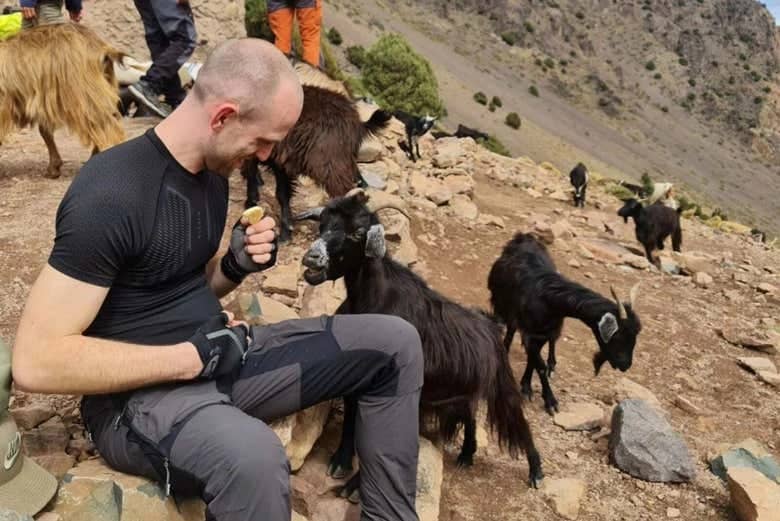 Randonnée de 2 jours dans les montagnes de l’Atlas à Toubkal