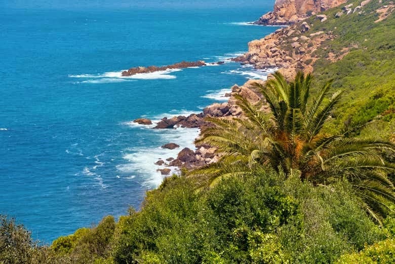 Tangeri in un giorno: Tour guidato completo - Image 5