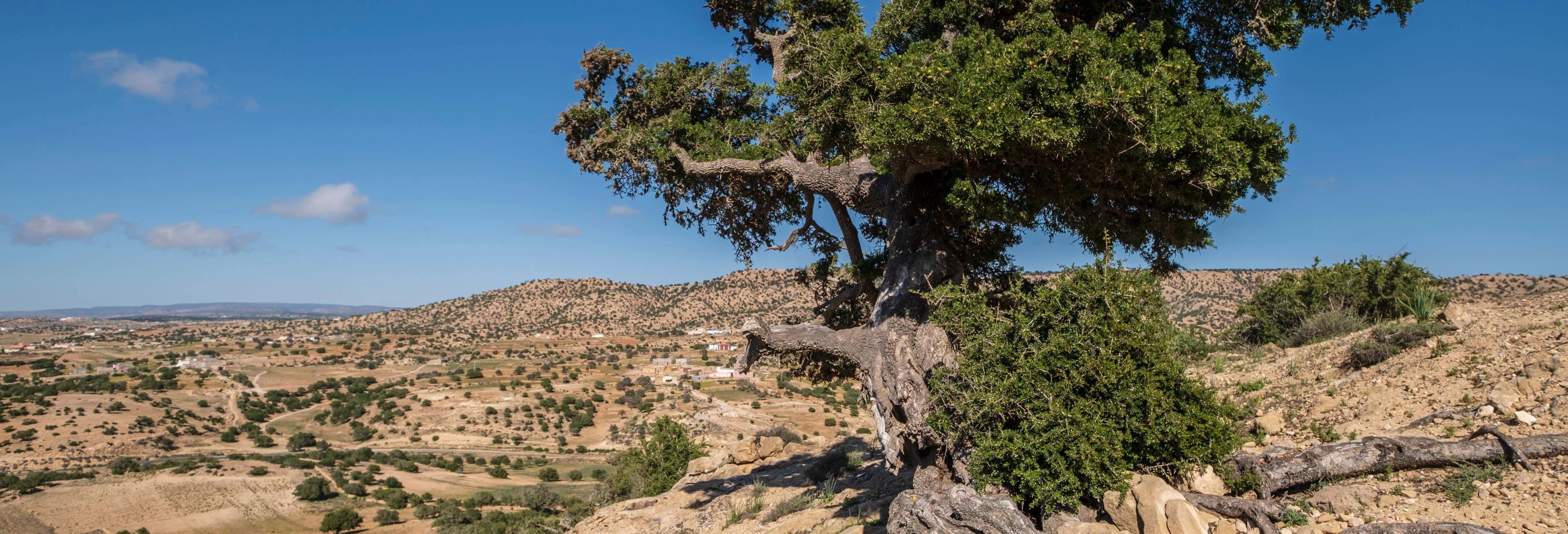 Tour in bici elettriche di Agadir