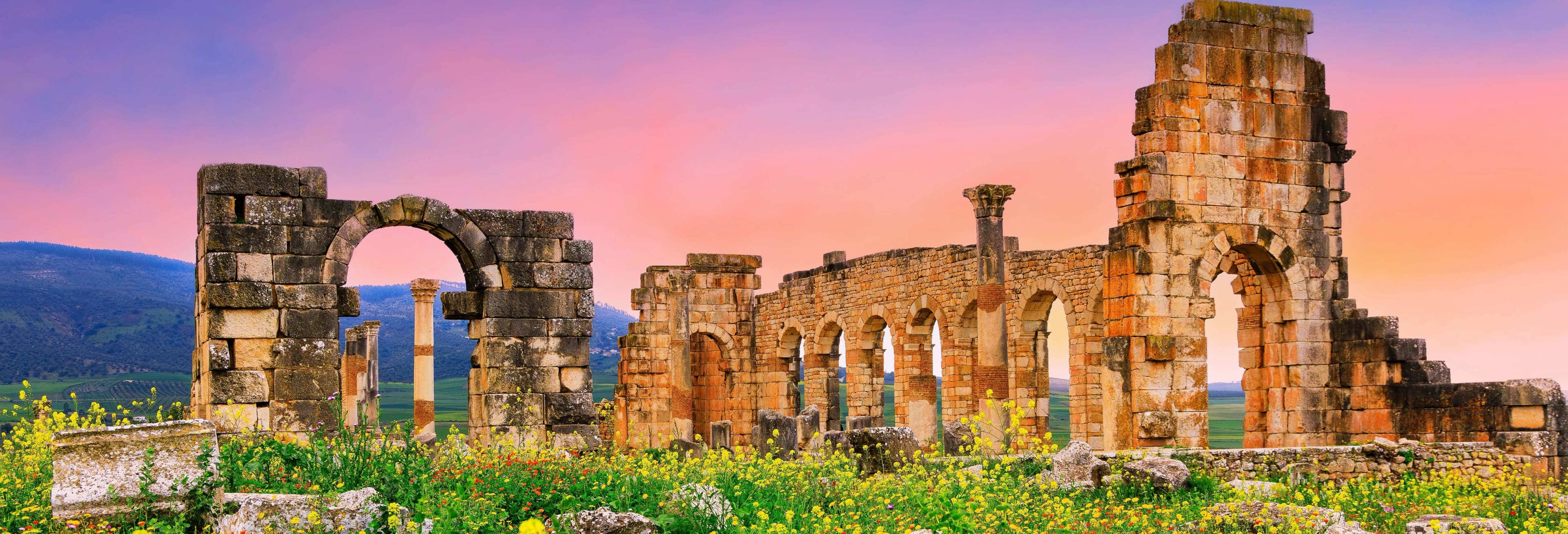 Volubilis, Moulay Idriss & Meknes Private Day Trip