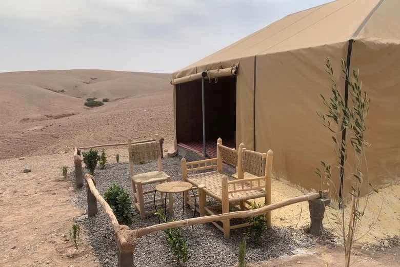 Night in the Afagay Desert - Image 10