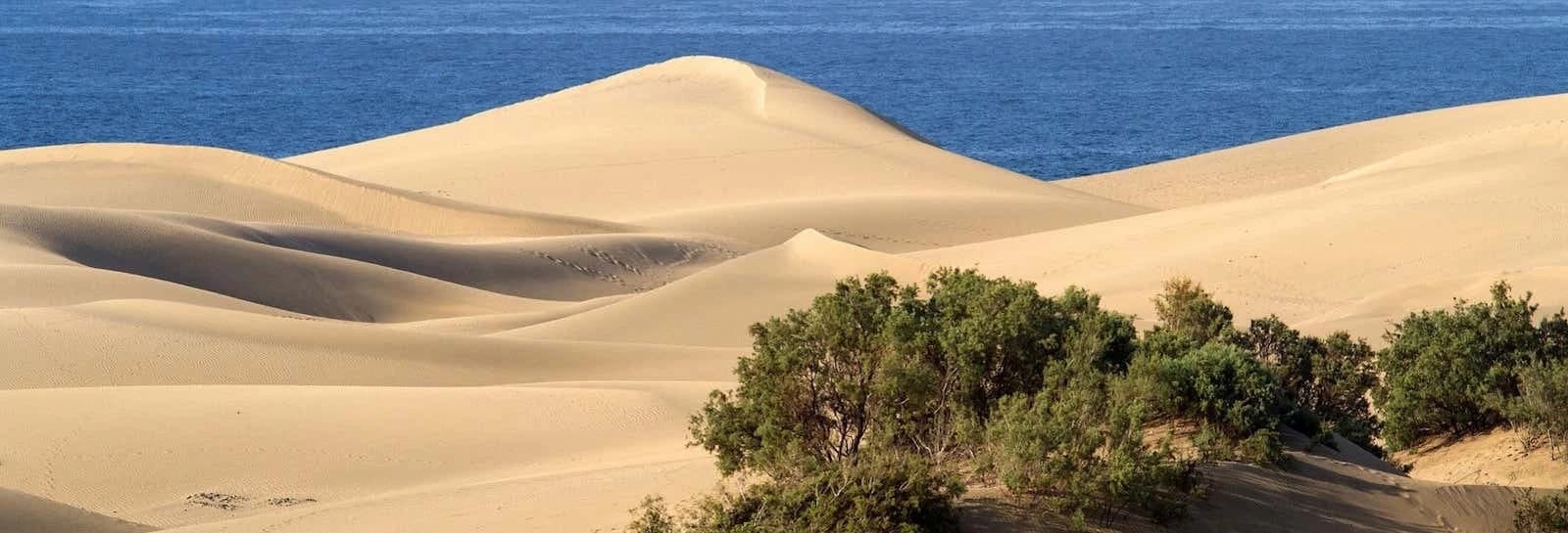 Day Trip to Tiznit + Desert Safari