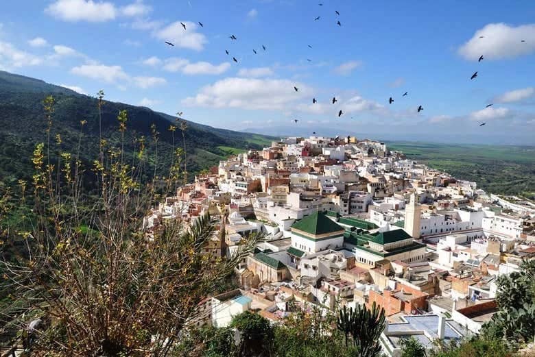 Excursion privée d’une journée à Volubilis, Moulay Idriss et Meknes
