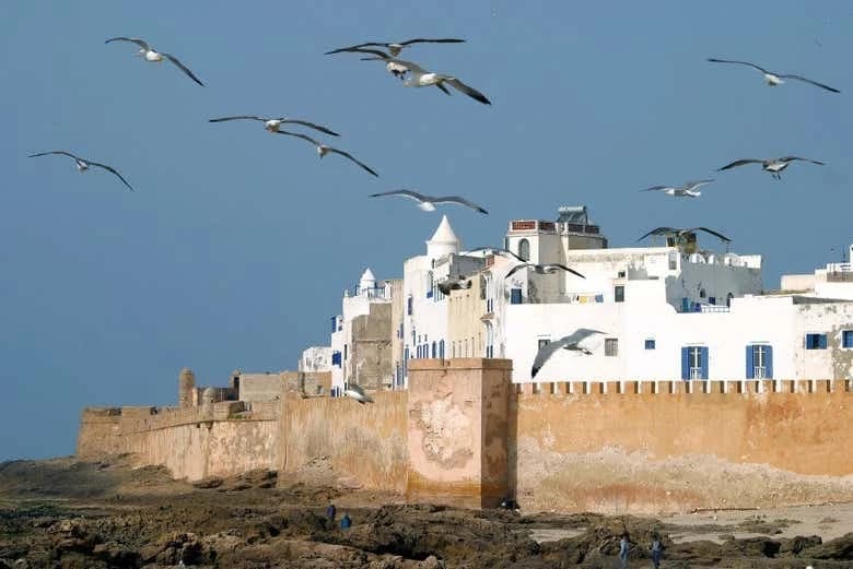 Essaouira Day Trip - Image 2