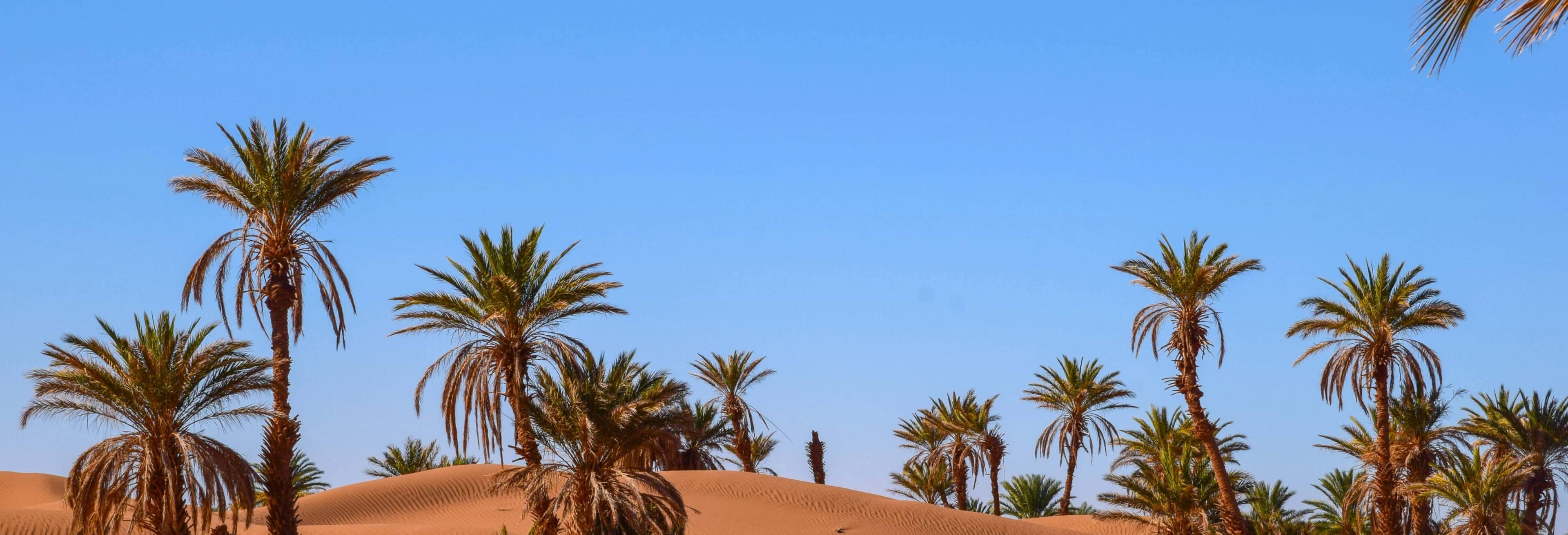 2-Day Zagora Desert Trip